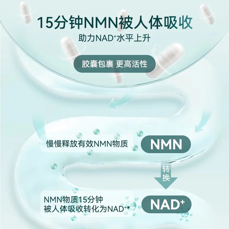 20240821155255415851.jpg 6.jpg